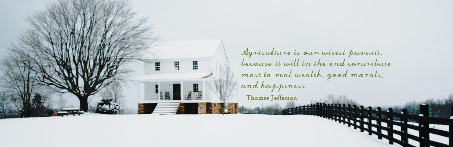 home-slider-quote-03